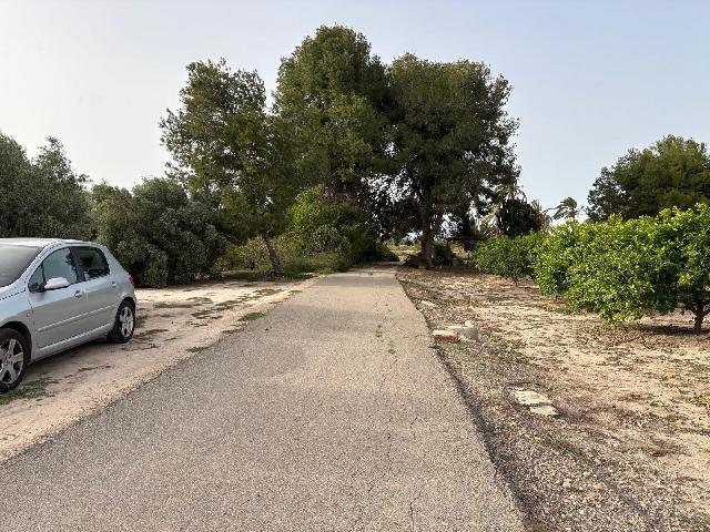 Imagen 9 Inmueble 293915 - Casa Aislada en venta en Elche/elx / Carretera de dolores campo vayado 
