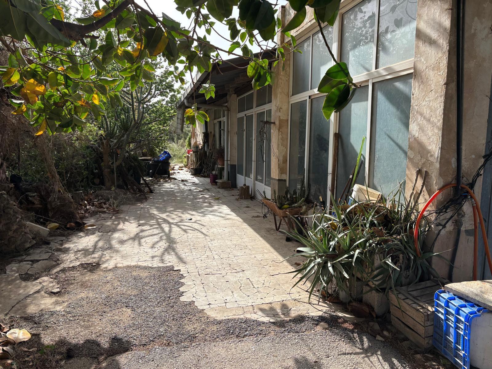 Imagen 13 Casa Aislada en venta en Elche/elx / Carretera de dolores campo vayado 