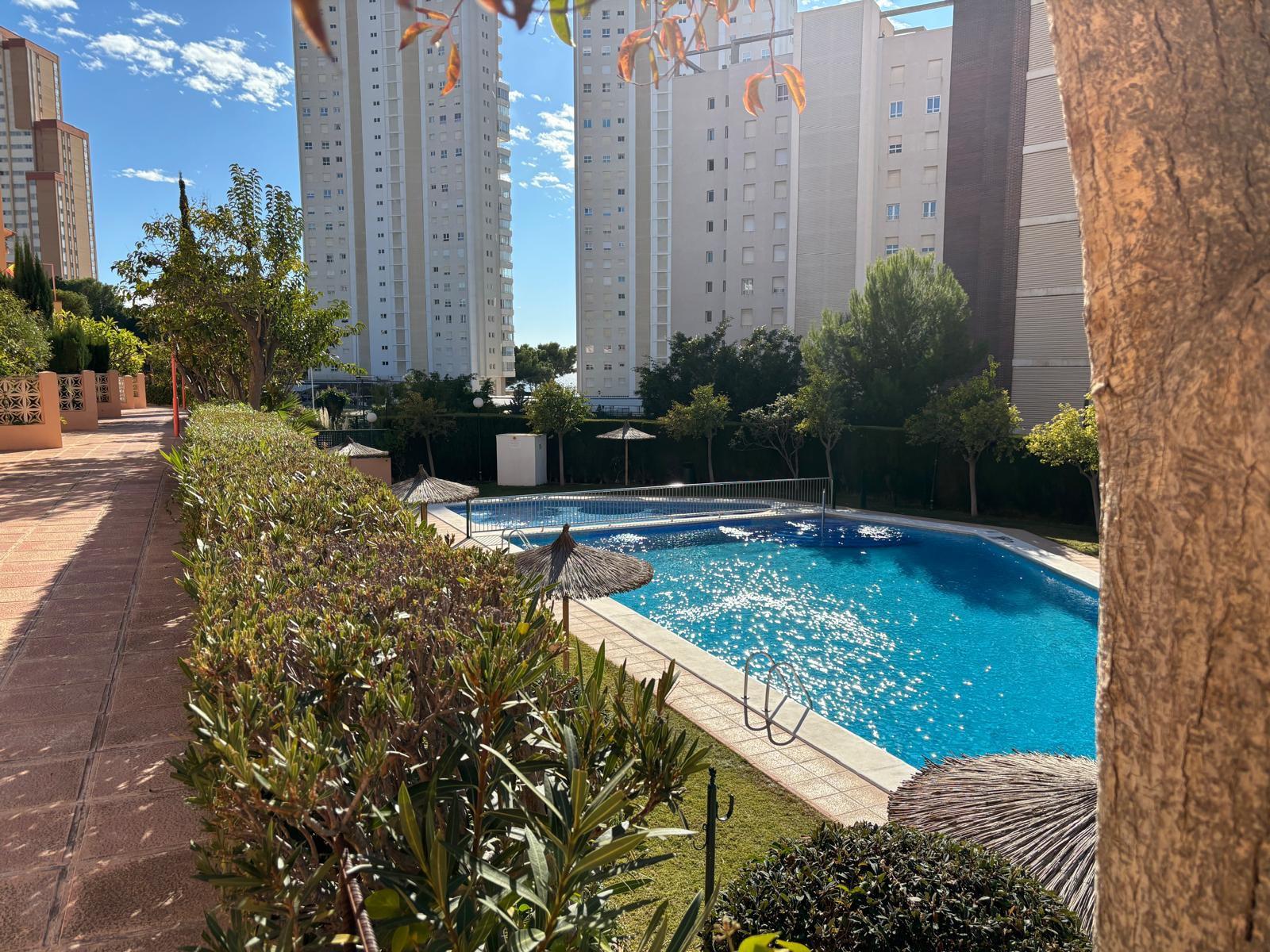 Imagen 14 Apto. Playa en venta en Benidorm / A 150 metros dela playa de poniente