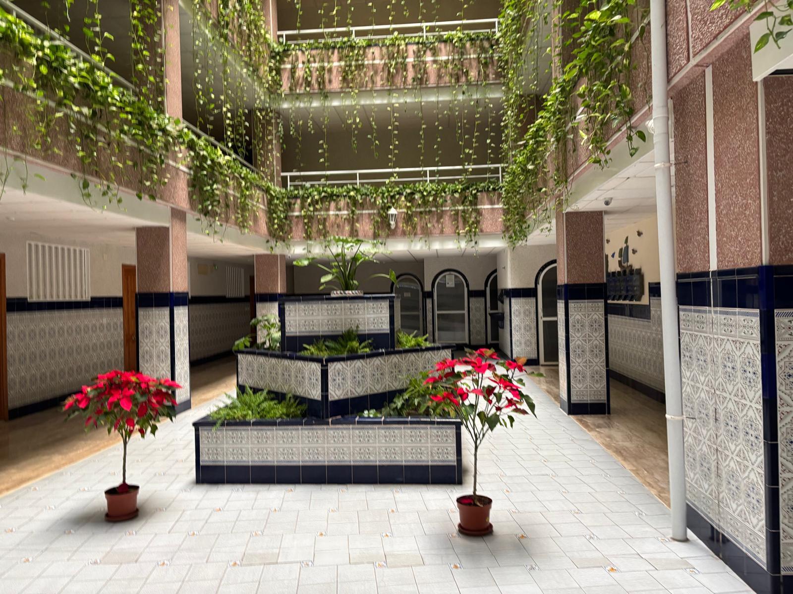 Imagen 13 Apto. Playa en venta en Torrevieja / A cuatro calles de la playa zona centro