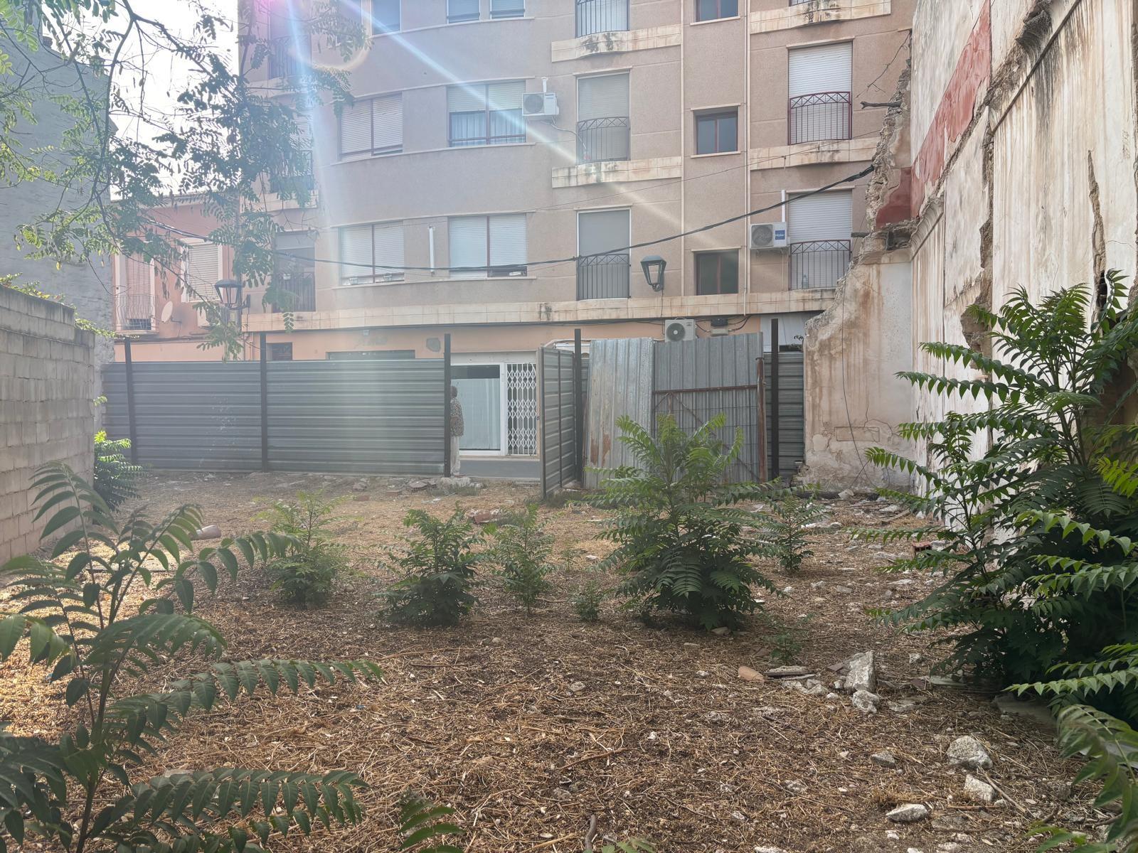 Imagen 1 Solar Urbano en venta en Aspe / Zona centro mercado