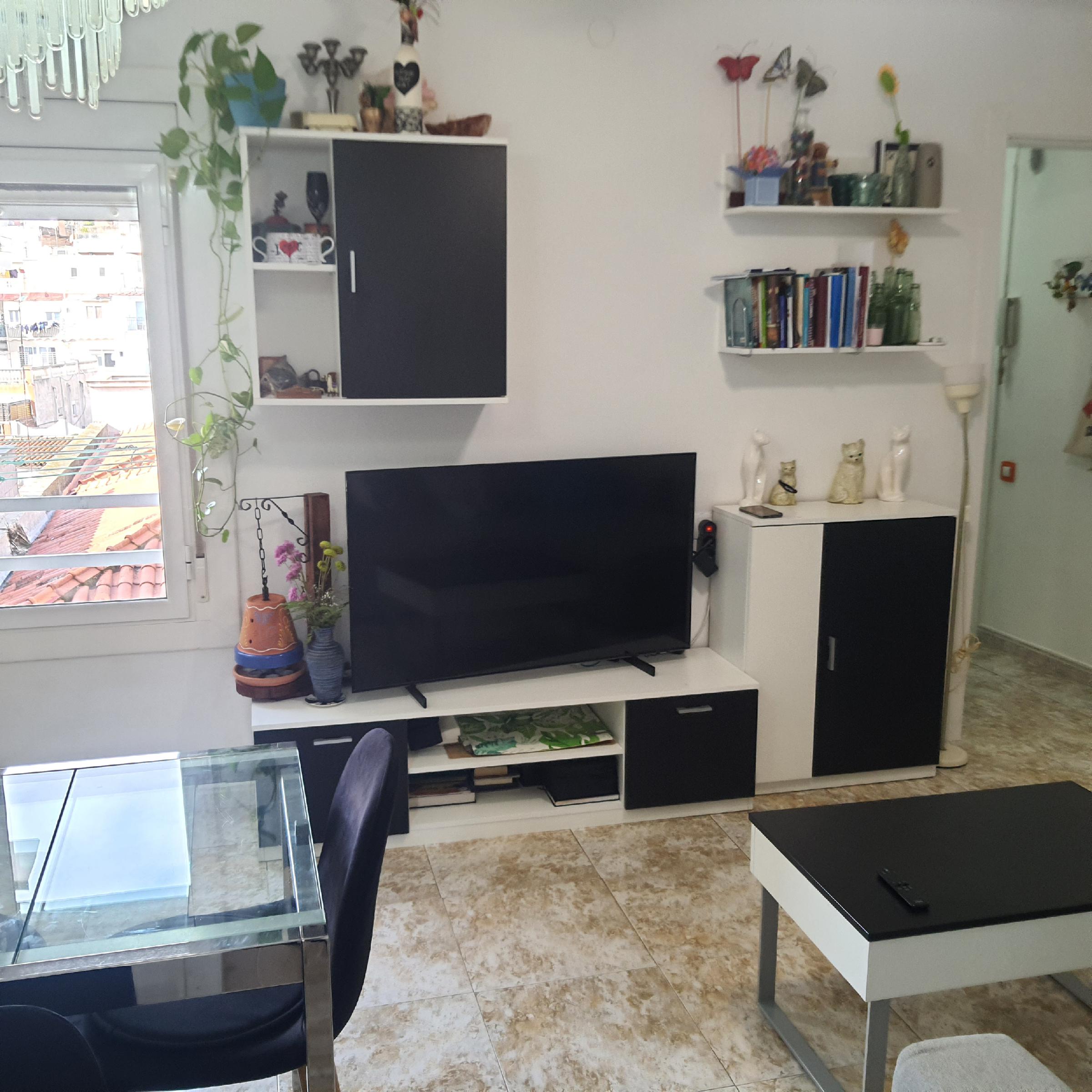 Imagen 1 Piso en venta en Barcelona / Junto calle mora de ebro y metro el coll la teixonera
