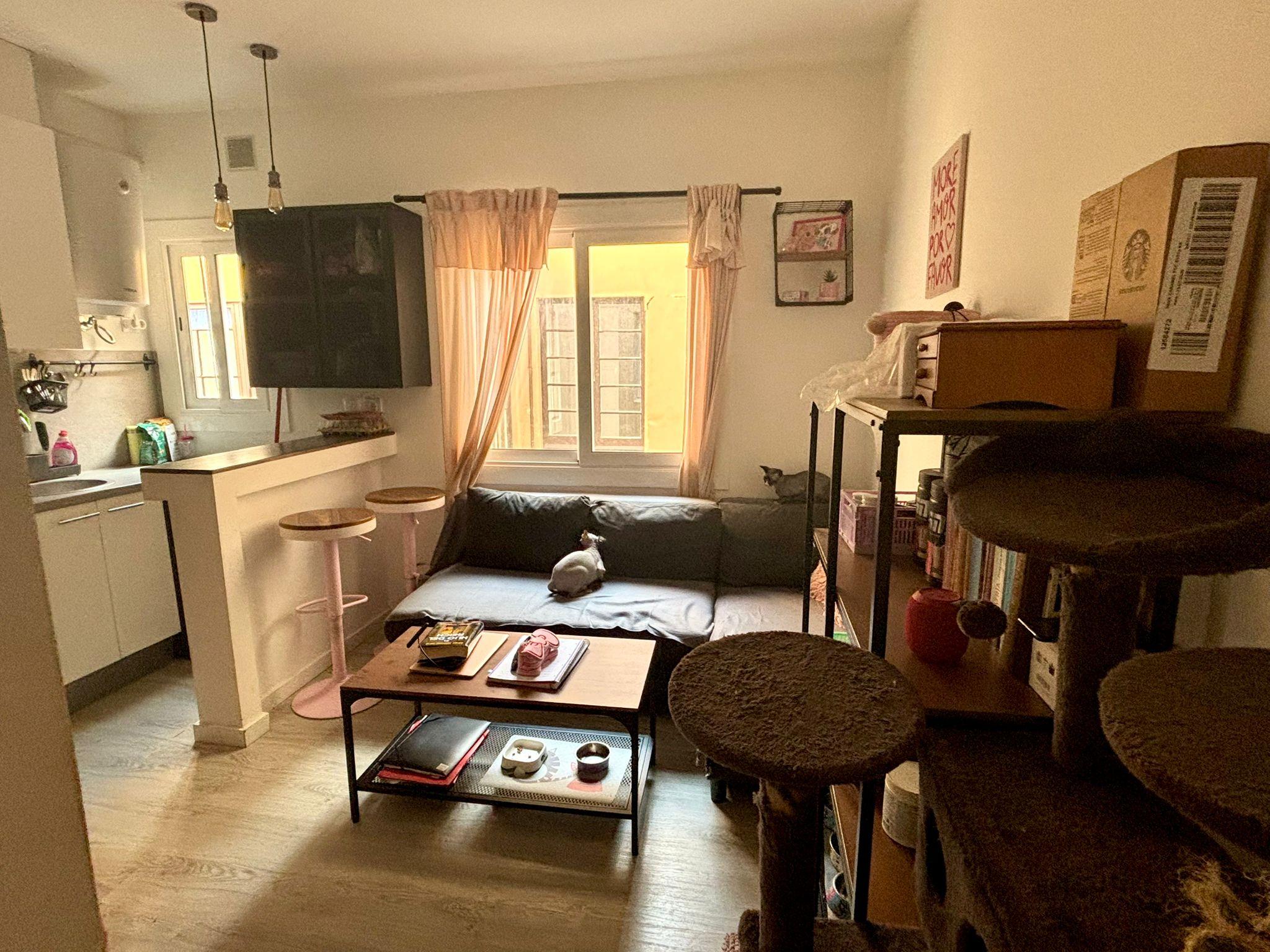 Imagen 2 Piso en venta en Barcelona / Entre Mora la nova i pasage albiell