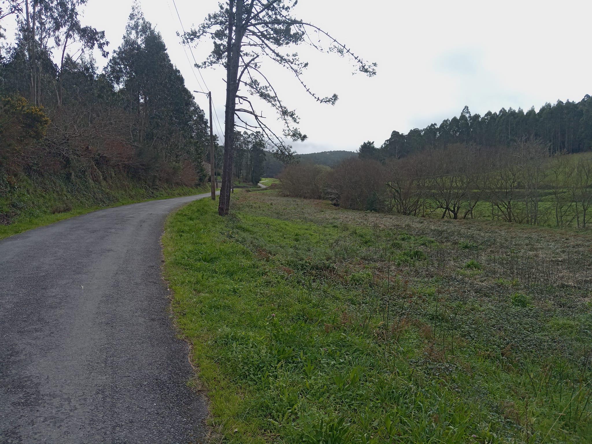 Imagen 3 Solar Urbano en venta en Cee / Lugar de Lires - Cee A Coruña 15338