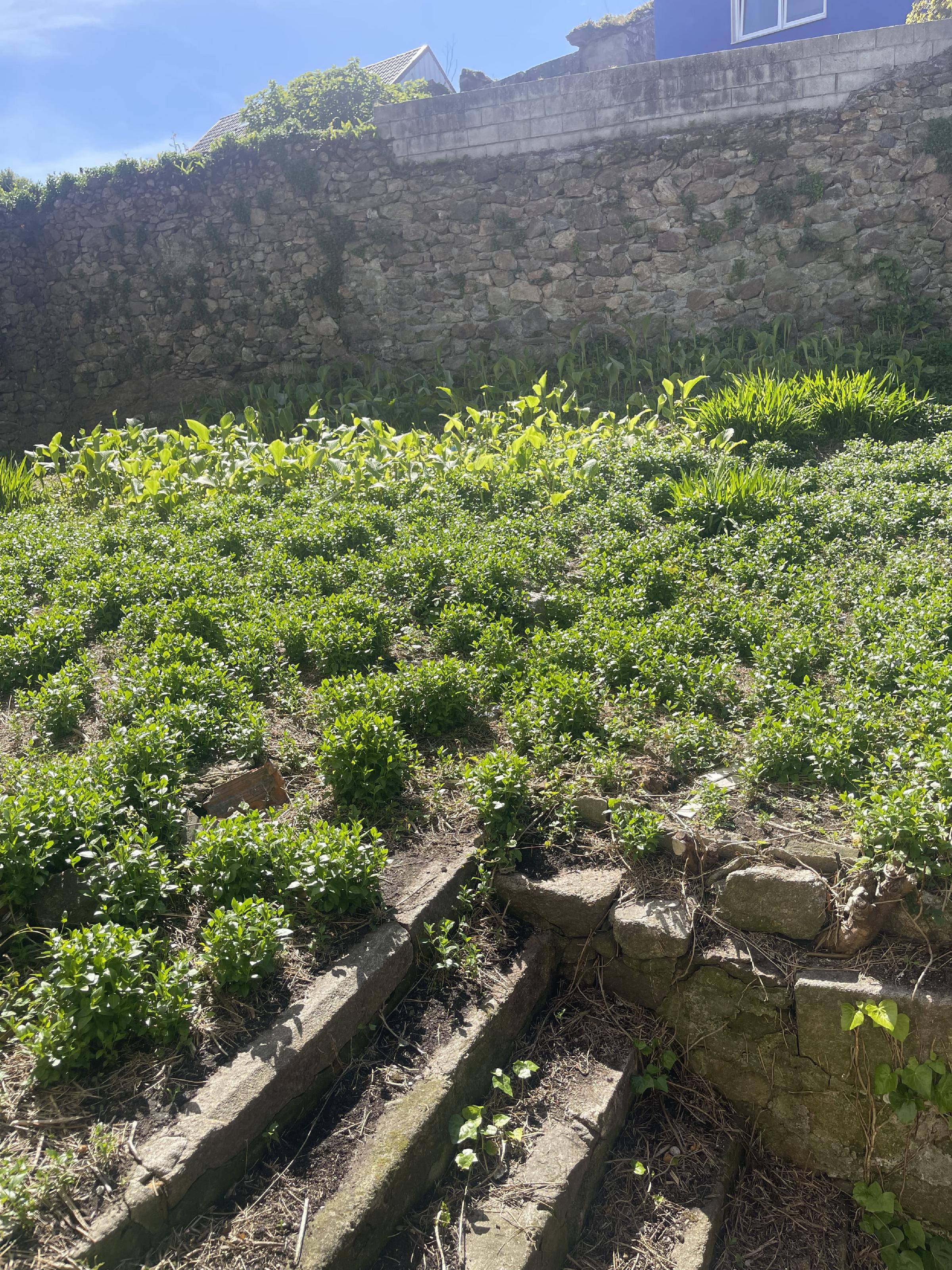 Imagen 7 Solar Urbano en venta en Fisterra / Rua real Fisterra