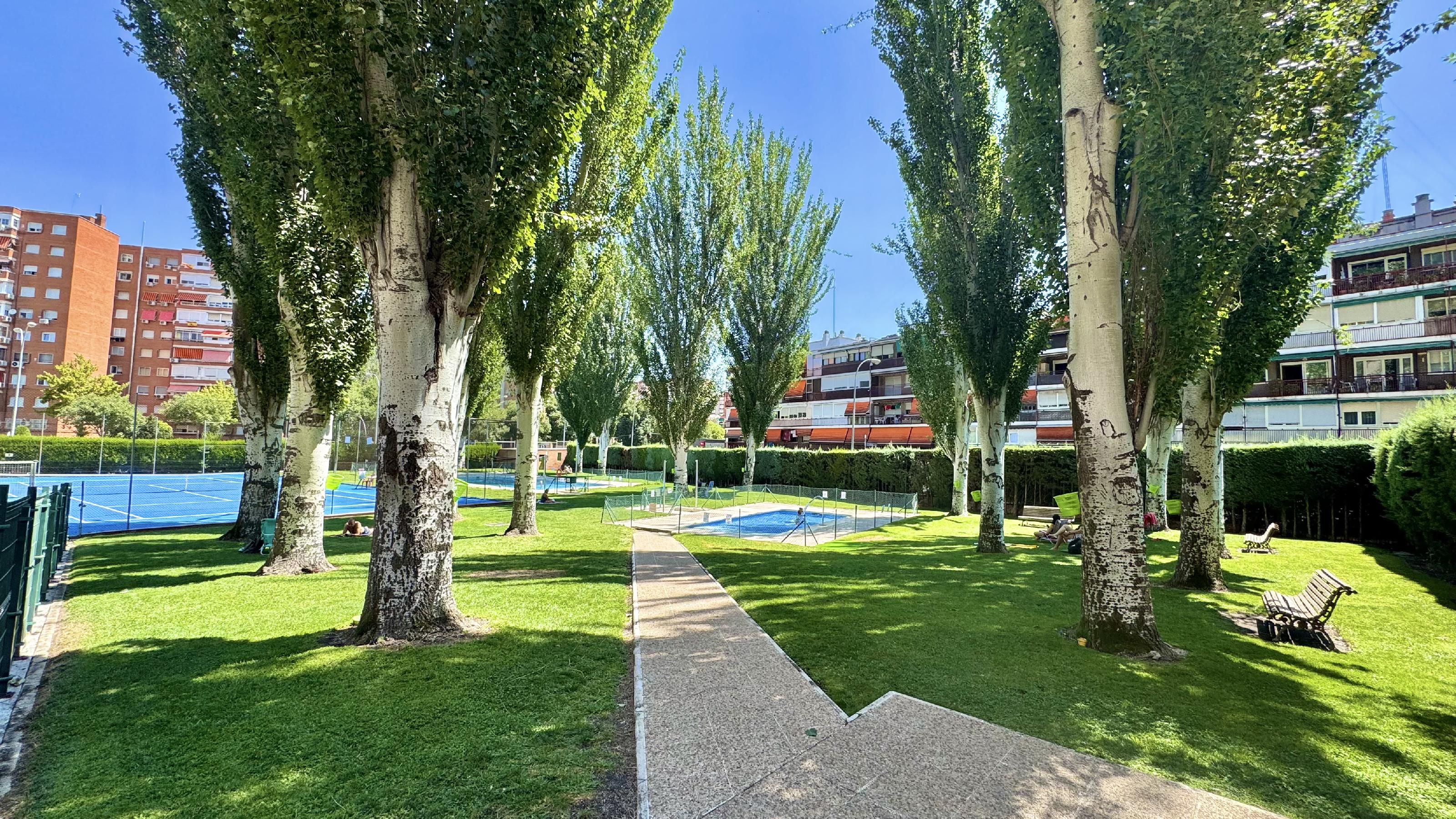 Imagen 28 Apartamento en venta en Fuenlabrada / Al lado del Vicente Blasco Ibáñez