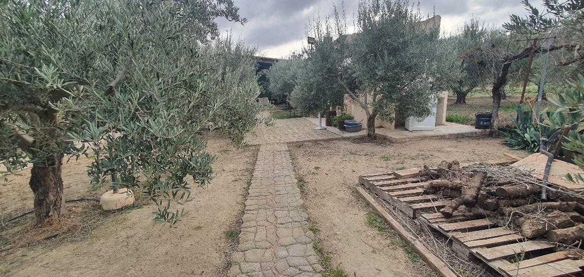 Imagen 16 Casa en venta en Tobarra / Campos de Tobarra , dirección -Sierra