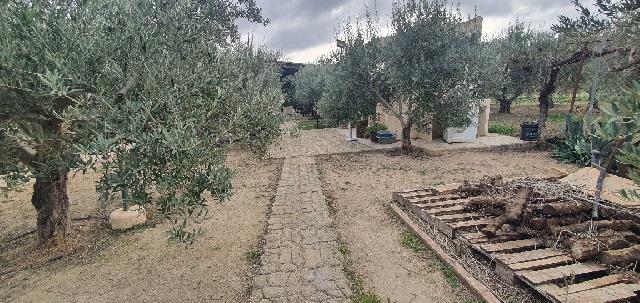 Imagen 16 Inmueble 301729 - Casa en venta en Tobarra / Campos de Tobarra , dirección -Sierra