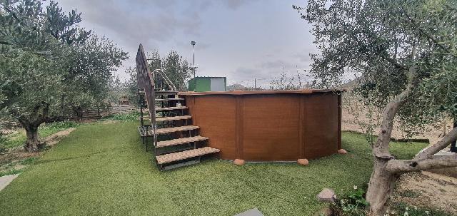 Imagen 6 Inmueble 301729 - Casa en venta en Tobarra / Campos de Tobarra , dirección -Sierra