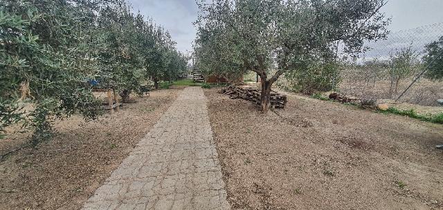 Imagen 22 Inmueble 301729 - Casa en venta en Tobarra / Campos de Tobarra , dirección -Sierra