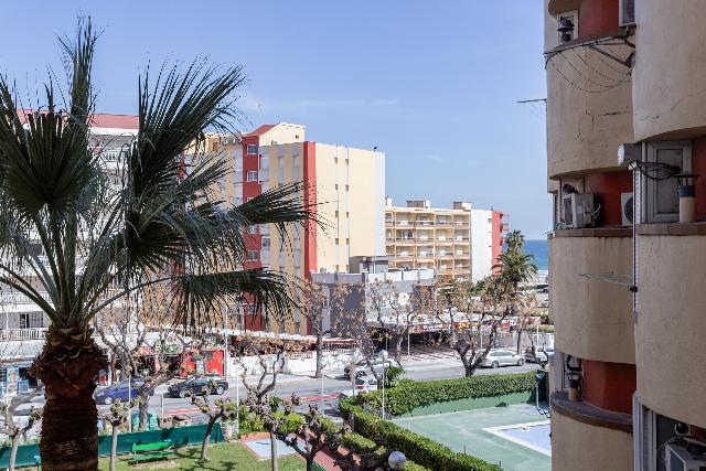 Imagen 19 Inmueble 301841 - Estudio en venta en Vila-seca / A 5 minutos caminando de la playa de La Pineda.