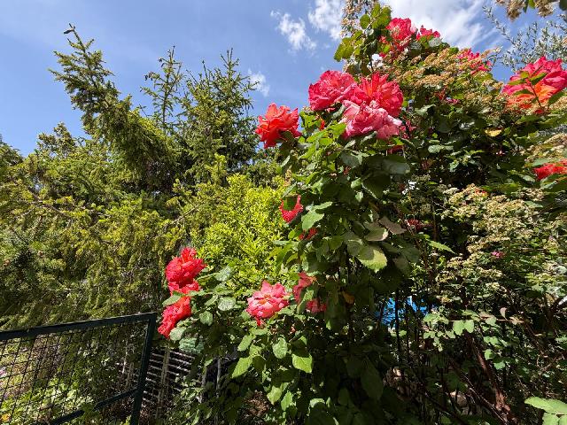 Imagen 20 Inmueble 302563 - Casa Aislada en venta en Sant Jaume Dels Domenys / Casa individual en la prestigiosa urb. ...