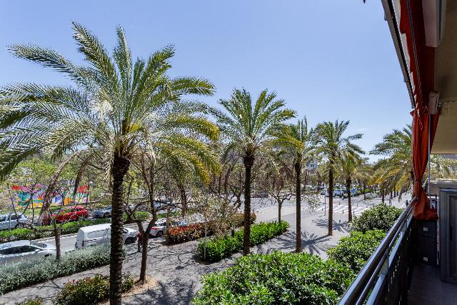 Imagen 39 Inmueble 302679 - Piso en venta en Salou / Vivienda situada en Barenys.