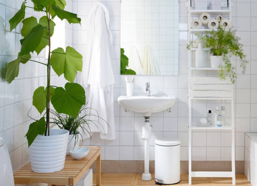 shower-plants_2-jpg-860x0_q70_crop-scale